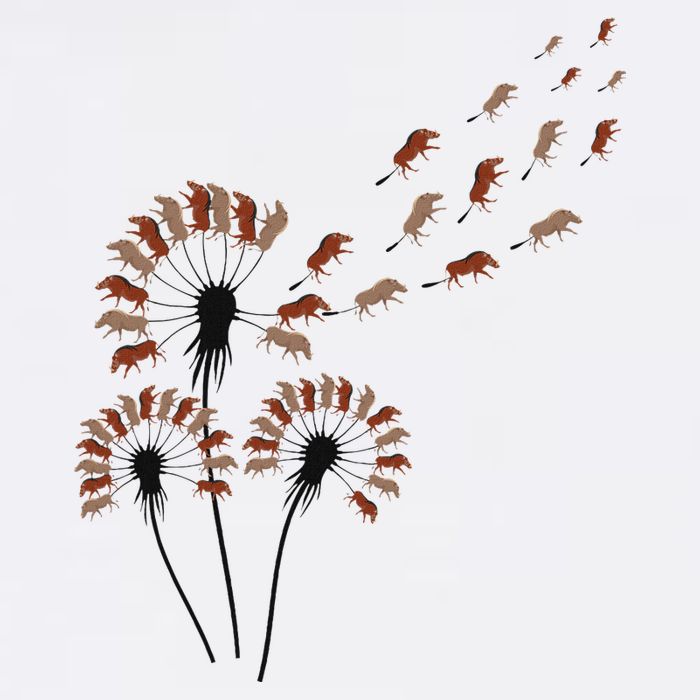 Dandelion Warthogs For Warthog Lover Warthog Garment-Dyed Sweatshirt