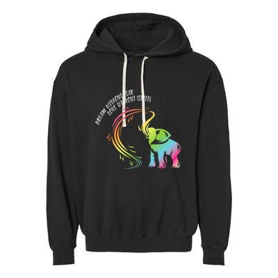Dream Without Fear Love Without Limits Colorful Elephant Garment-Dyed Fleece Hoodie