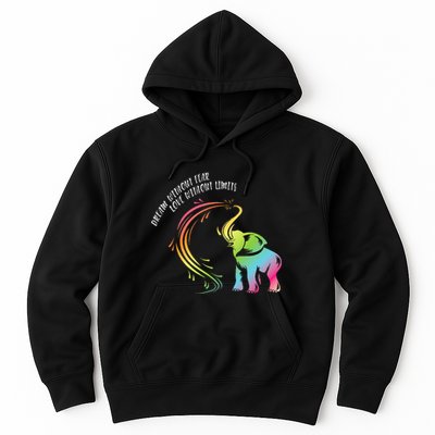 Dream Without Fear Love Without Limits Colorful Elephant Hoodie