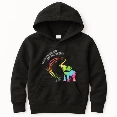 Dream Without Fear Love Without Limits Colorful Elephant Kids Hoodie
