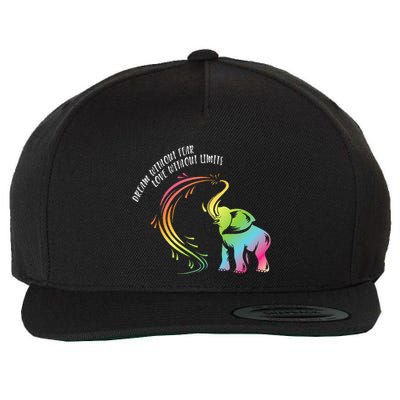 Dream Without Fear Love Without Limits Colorful Elephant Wool Snapback Cap