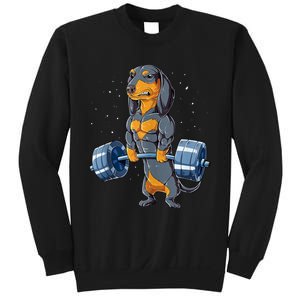 Dachshund Weightlifting Funny Gift For Deadlift Men Fitness Gym Gifts Sweatshirt