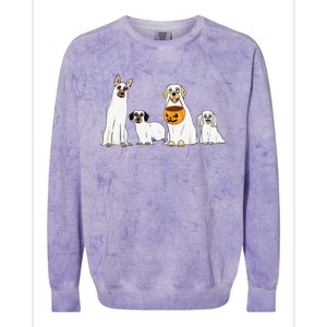 Dogs Wearing Ghost Costume Funny Dog Halloween Funny Funny Colorblast Crewneck Sweatshirt