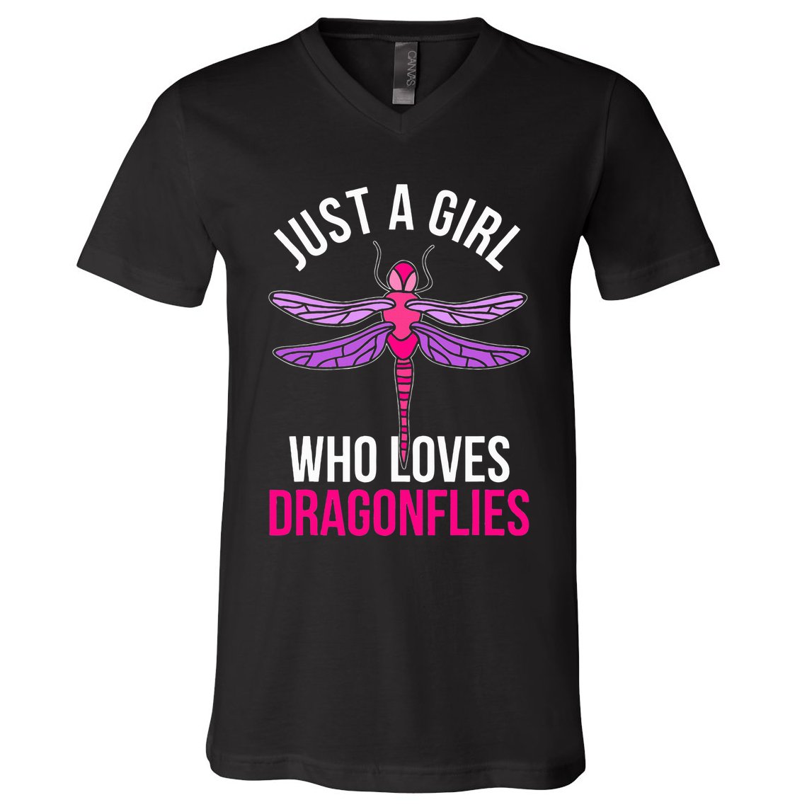 Dragonflies Women Gift Idea Dragonfly V-Neck T-Shirt
