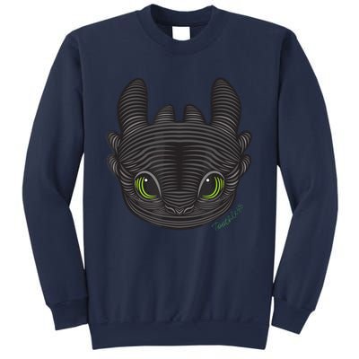 Dream Works How To Train Your Dragon Toothless Cat Sweatshirt