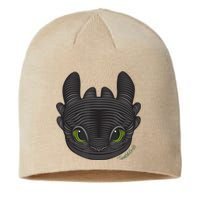 Dream Works How To Train Your Dragon Toothless Cat Sustainable Beanie