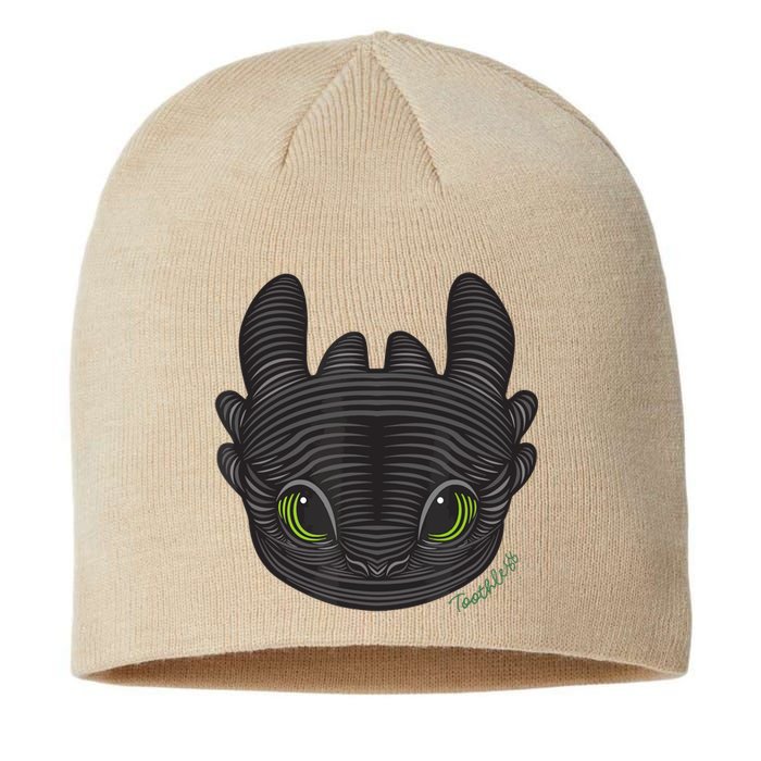 Dream Works How To Train Your Dragon Toothless Cat Sustainable Beanie