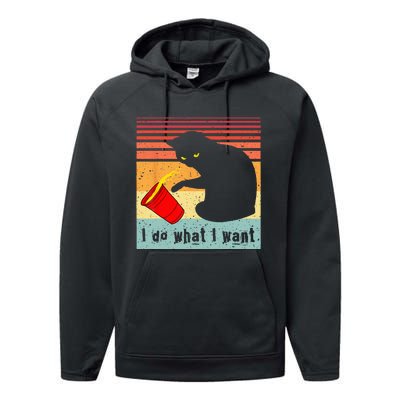 Do What I Want Vintage Black Cat Red Cup Funny My Cat Performance Fleece Hoodie