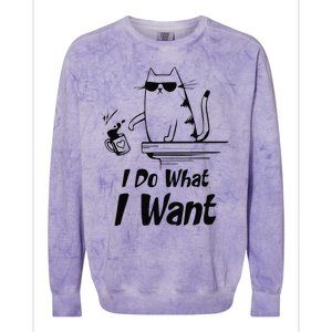 Do What I Want Black Cat Red Cup Funny Graphic Colorblast Crewneck Sweatshirt