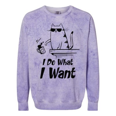 Do What I Want Black Cat Red Cup Funny Graphic Colorblast Crewneck Sweatshirt