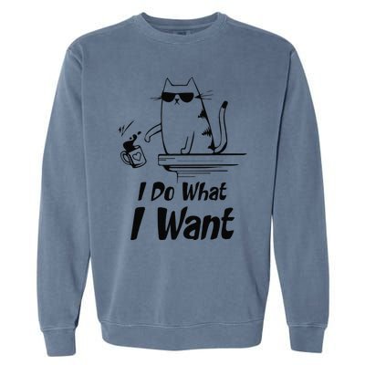 Do What I Want Black Cat Red Cup Funny Graphic Garment-Dyed Sweatshirt