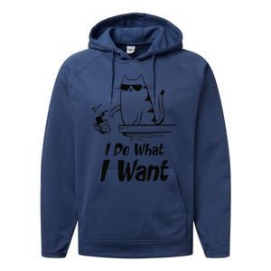 Do What I Want Black Cat Red Cup Funny Graphic Performance Fleece Hoodie