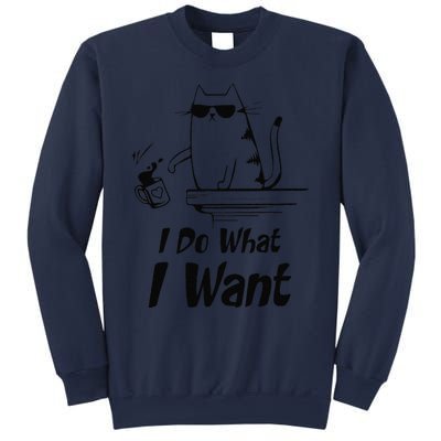 Do What I Want Black Cat Red Cup Funny Graphic Sweatshirt