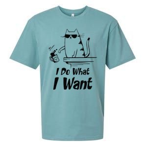 Do What I Want Black Cat Red Cup Funny Graphic Sueded Cloud Jersey T-Shirt