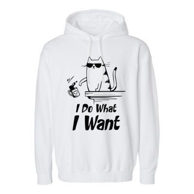 Do What I Want Black Cat Red Cup Funny Graphic Garment-Dyed Fleece Hoodie