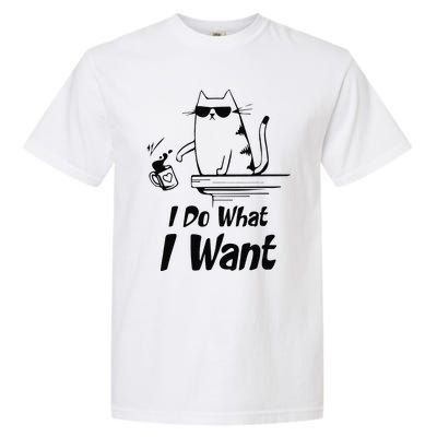 Do What I Want Black Cat Red Cup Funny Graphic Garment-Dyed Heavyweight T-Shirt