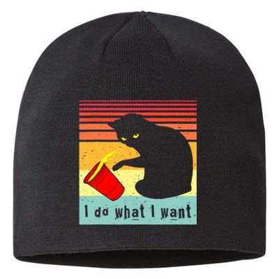 Do What I Want Vintage Black Cat Red Cup Funny Cat Sustainable Beanie