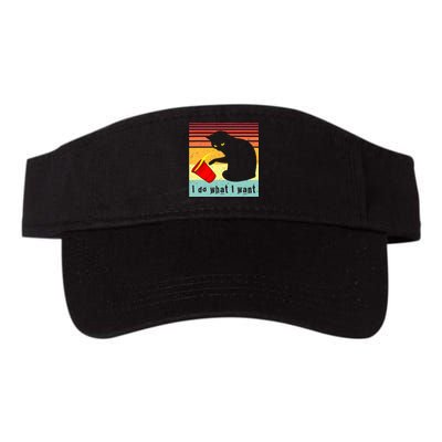 Do What I Want Vintage Black Cat Red Cup Funny Cat Valucap Bio-Washed Visor