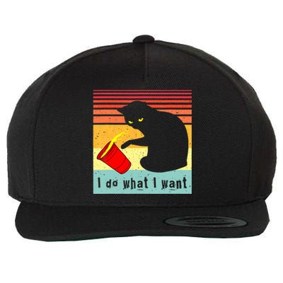 Do What I Want Vintage Black Cat Red Cup Funny Cat Wool Snapback Cap