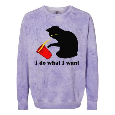 Do What I Want Black Cat Red Cup Funny Graphic Colorblast Crewneck Sweatshirt