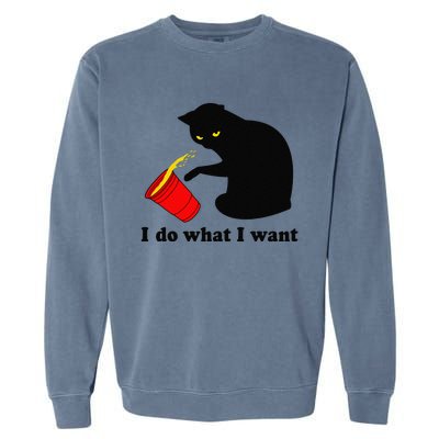 Do What I Want Black Cat Red Cup Funny Graphic Garment-Dyed Sweatshirt