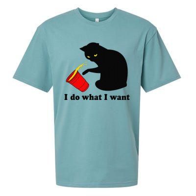 Do What I Want Black Cat Red Cup Funny Graphic Sueded Cloud Jersey T-Shirt