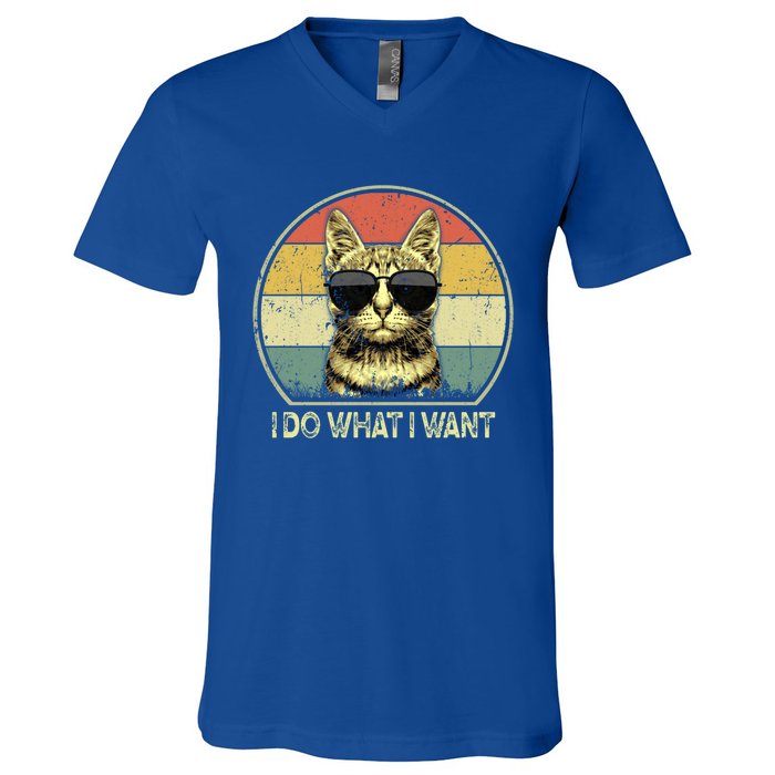 Do What I Want Vintage Kitten Cat My Funny Cat Lover Retro Cool Gift V-Neck T-Shirt