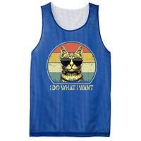 Do What I Want Vintage Kitten Cat My Funny Cat Lover Retro Cool Gift Mesh Reversible Basketball Jersey Tank