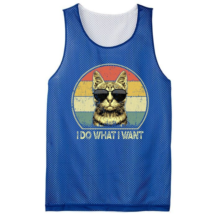 Do What I Want Vintage Kitten Cat My Funny Cat Lover Retro Cool Gift Mesh Reversible Basketball Jersey Tank