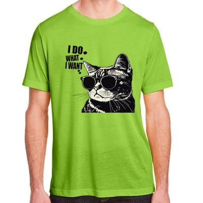 Do What I Want Vintage Black Cat Weird Funny Cat Adult ChromaSoft Performance T-Shirt