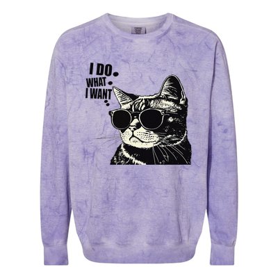 Do What I Want Vintage Black Cat Weird Funny Cat Colorblast Crewneck Sweatshirt