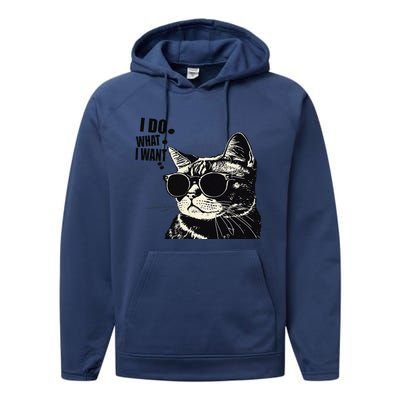 Do What I Want Vintage Black Cat Weird Funny Cat Performance Fleece Hoodie