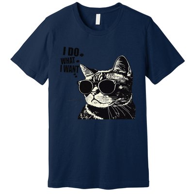 Do What I Want Vintage Black Cat Weird Funny Cat Premium T-Shirt