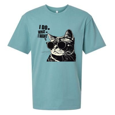 Do What I Want Vintage Black Cat Weird Funny Cat Sueded Cloud Jersey T-Shirt