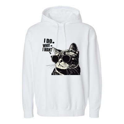 Do What I Want Vintage Black Cat Weird Funny Cat Garment-Dyed Fleece Hoodie