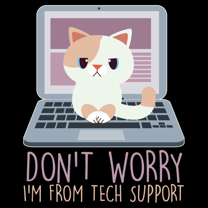 Don't Worry I'm From Tech Support Computer Cat Metallic Star Ornament