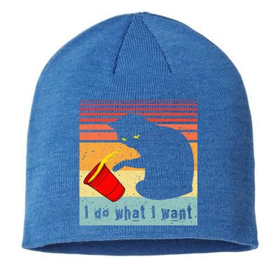 Do What I Want Vintage Black Cat Red Cup Funny My Cat Sustainable Beanie