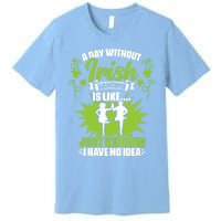 Day Without Irish Dancing Tap Dancing Ceili Reel Irish Dance Gift Premium T-Shirt