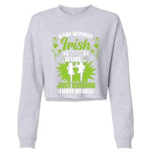 Day Without Irish Dancing Tap Dancing Ceili Reel Irish Dance Gift Cropped Pullover Crew