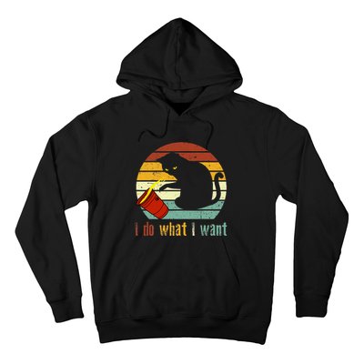 Do What I Want Vintage Black Cat Red Cup Funny My Cat Hoodie