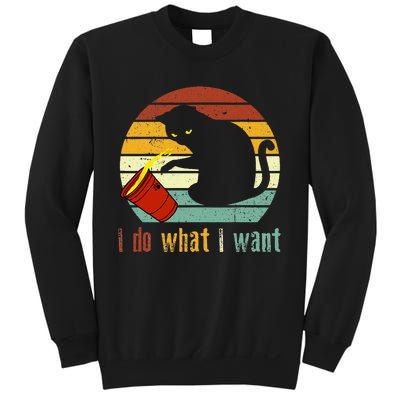 Do What I Want Vintage Black Cat Red Cup Funny My Cat Sweatshirt