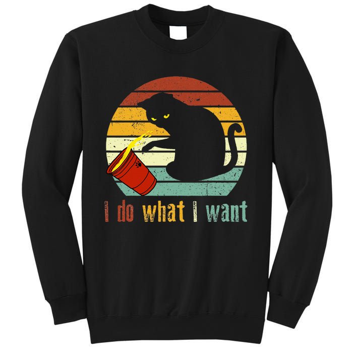 Do What I Want Vintage Black Cat Red Cup Funny My Cat Sweatshirt