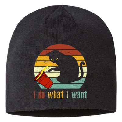 Do What I Want Vintage Black Cat Red Cup Funny My Cat Sustainable Beanie