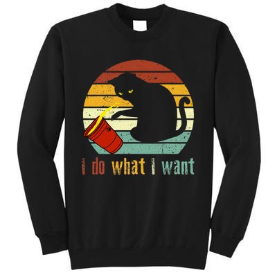 Do What I Want Vintage Black Cat Red Cup Funny My Cat Tall Sweatshirt