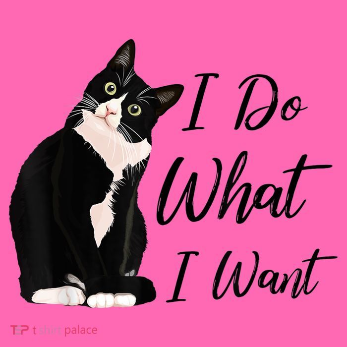 Do What I Want Tuxedo Cat Mom Cute Funny Graphic TShirt Stripe Pom Pom Beanie