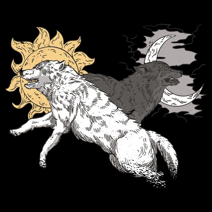Double Wolf Moon Sun 16 in Basic Backpack