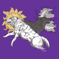Double Wolf Moon Sun Cooling Performance Crew T-Shirt