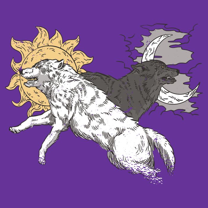 Double Wolf Moon Sun Cooling Performance Crew T-Shirt