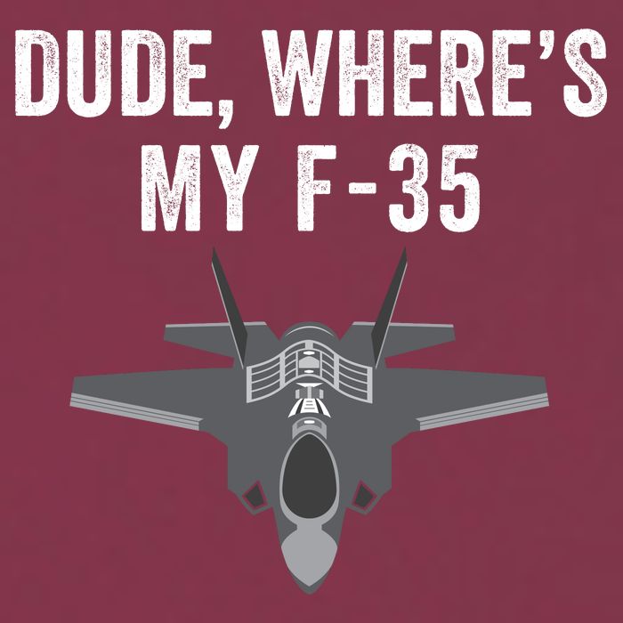 Dude Where’s My F35? Funny Missing F35 Meme Lost Gun Find My F35 16oz Travel Tumbler