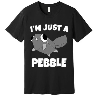 Dandys World Pebble Premium T-Shirt